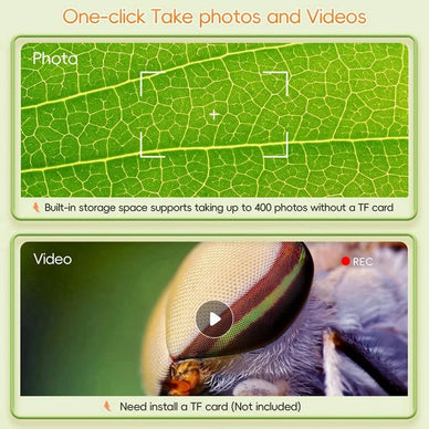 "Unleash Your Child's Curiosity and Wonder!"