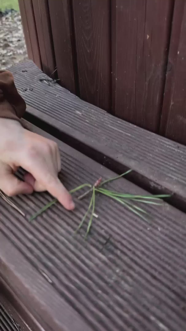 Portable Digital Kids Microscope video